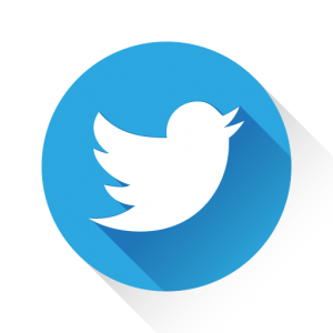 twitter-bird-blue-on-white